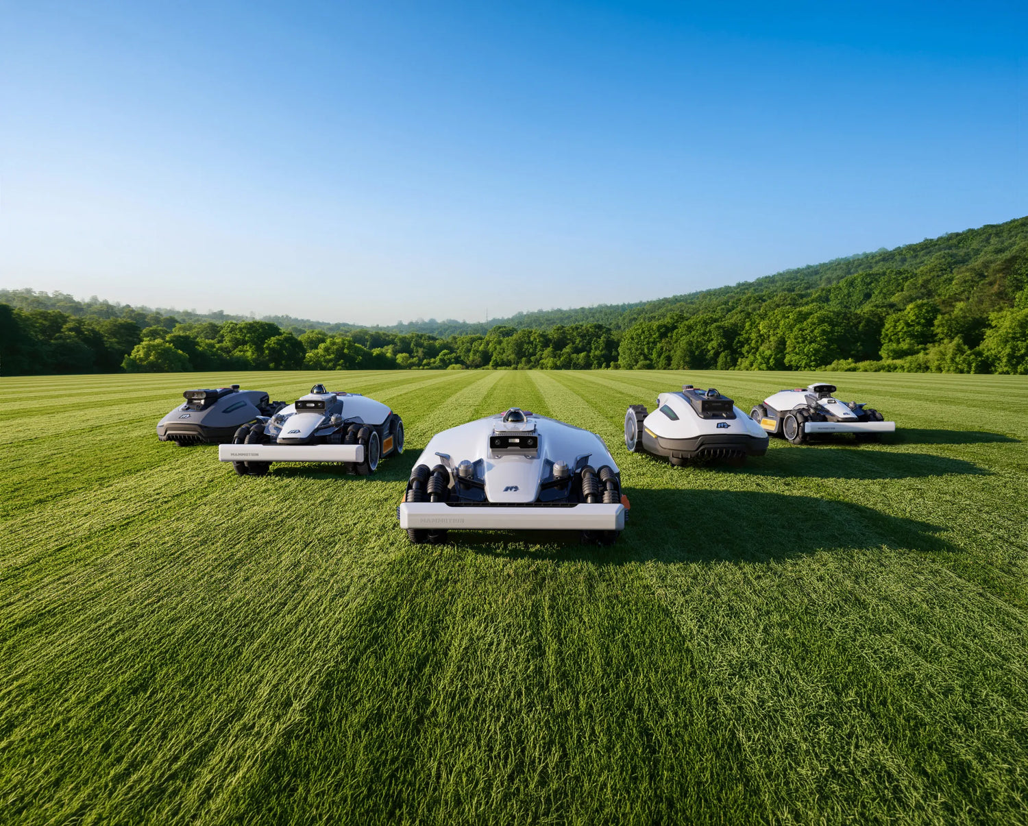 LUBA vs YUKA: ce robot Mammotion alegi pentru curtea ta?