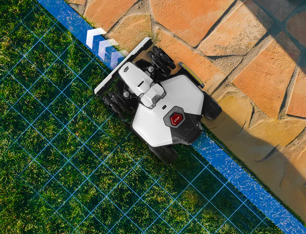 Tăiere Curată De-A Lungul Marginilor Mixte