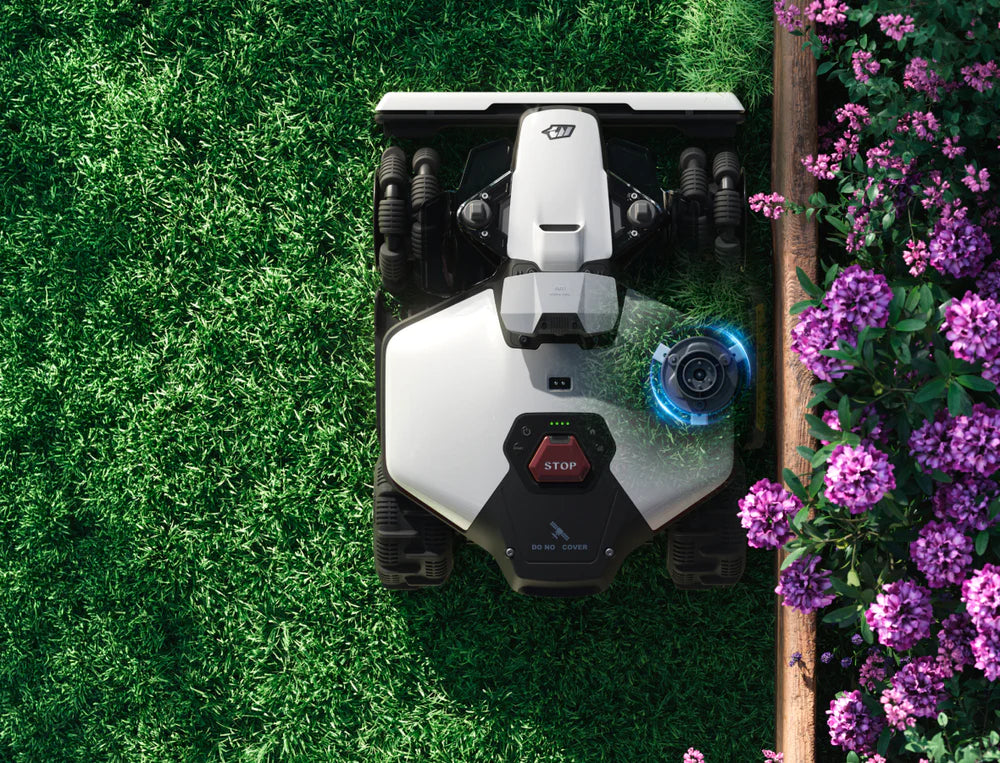 Distanță Minimă Față De Margine