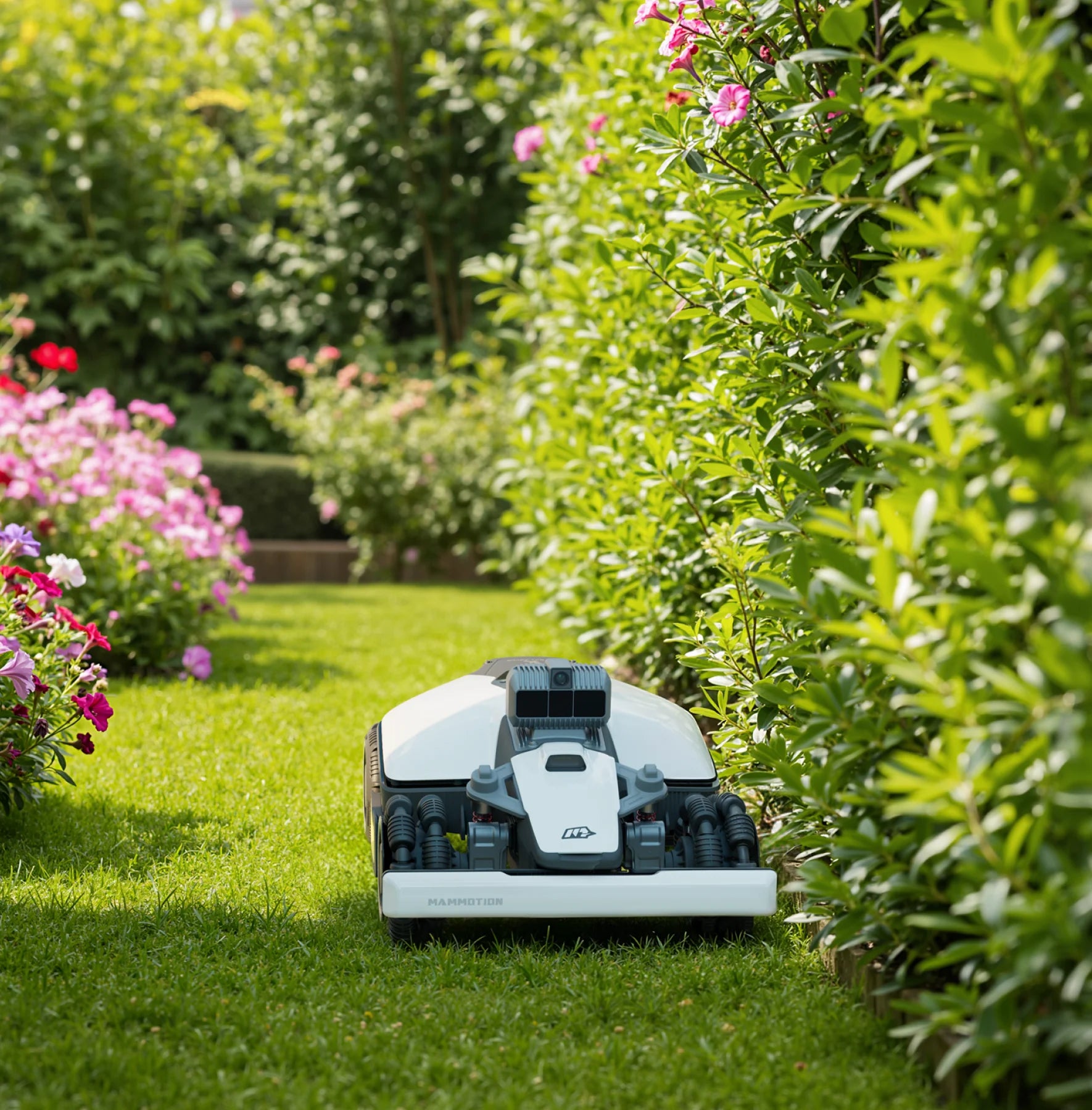 Tundere până la margine, fără zone ratate